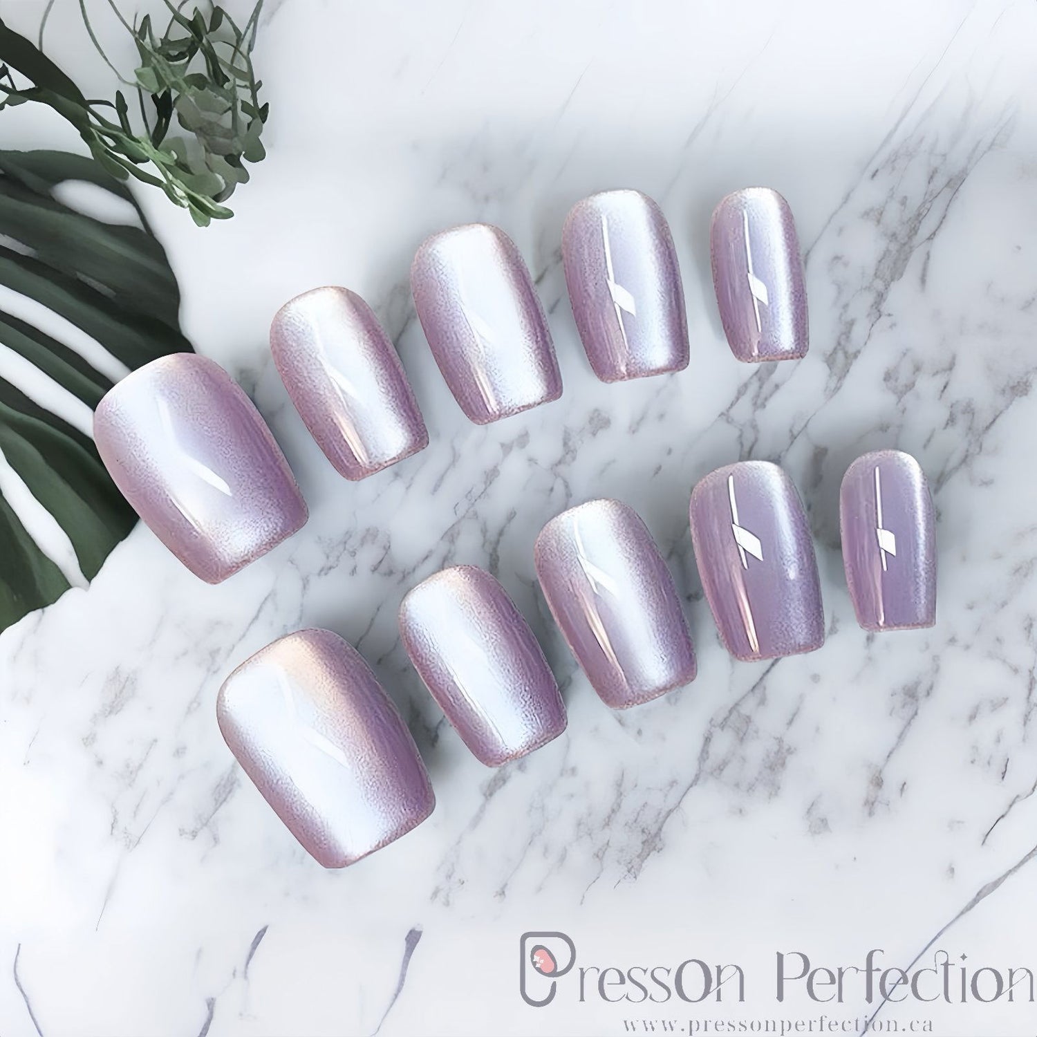 G. Timeless Tips 💅 (Pure Color & French)
